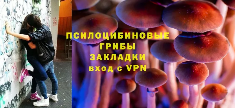 Галлюциногенные грибы Magic Shrooms  Коряжма 